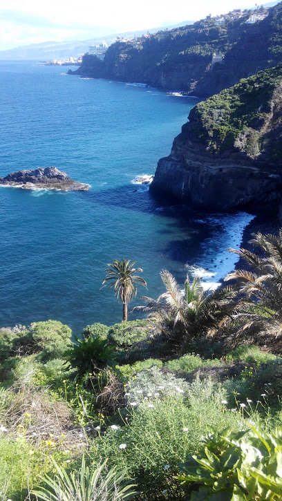 Santa Úrsula